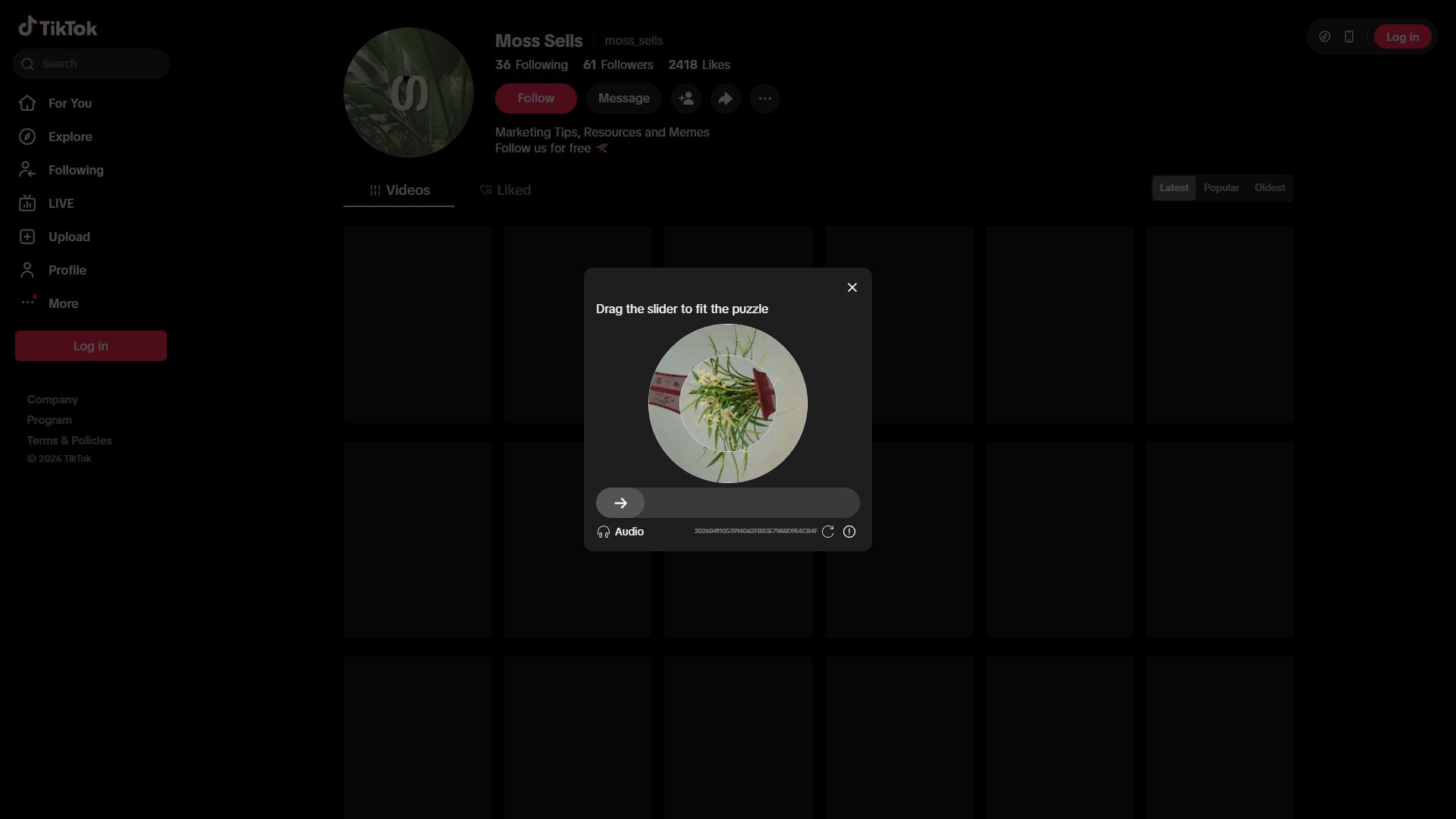 TikTok Profile